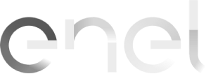 Enel Logo